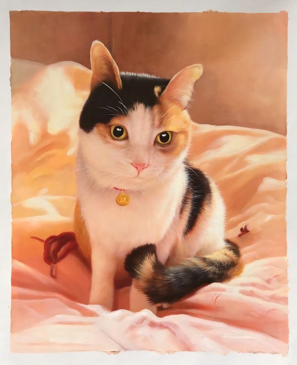 Cat Portraits Oil Painting Custom from Photos