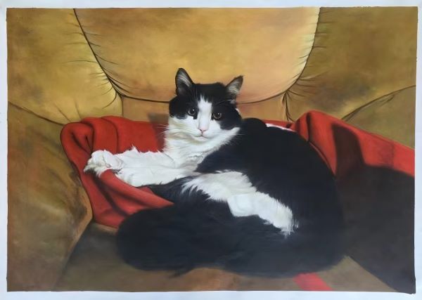 Cat Portraits Oil Painting Custom from Photos