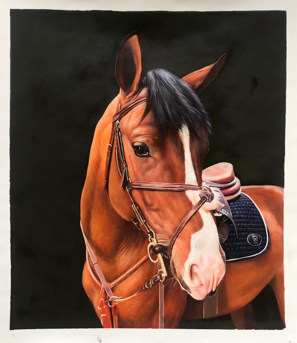 Horse Portraits Oil Painting Custom from Photos