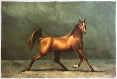 Horse Portraits Oil Painting Custom from Photos