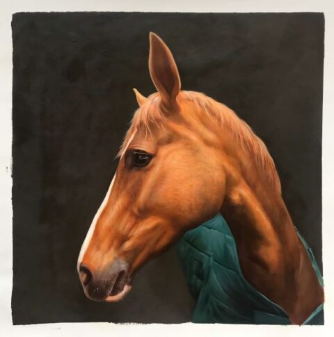 Horse Portraits Oil Painting Custom from Photos